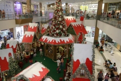 Na praça de eventos é possível encontrar Papai Noel, Mamãe Noel e animais animatrônicos - Foto: Rômulo Chico/DP Foto