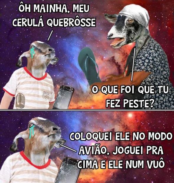 bode_gaiato4_590x621