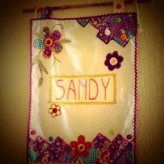 Pelo Twitter, Sandy agradece presente