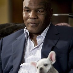 Mike Tyson em Se Beber, Não Case III