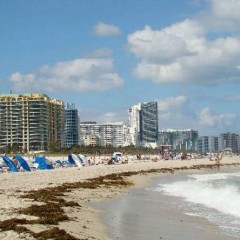 Miami foi a preferida