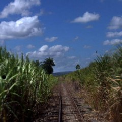 Curta pernambucano na TV