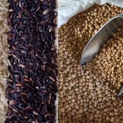 Nicola Sultanum lança novo projeto