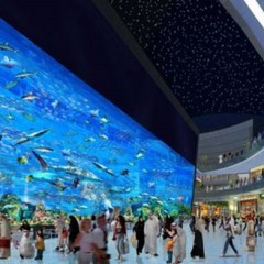 O maior aquário do mundo