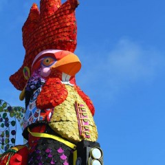 Galo da Madrugada aporta no carnaval de Maceió