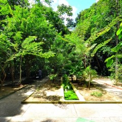 Jardim Botânico do Recife comemora aniversário