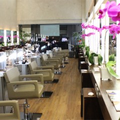 Spa Dios, de São Paulo, em pequena temporada no Recife