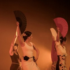 Espetáculo de dança flamenca em apresentação única no Teatro Luiz Mendonça