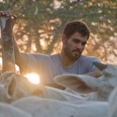 Filme de Gabriel Mascaro ganha dois prêmios internacionais