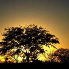 Fotógrafo Xirumba lança box com fotos inéditas