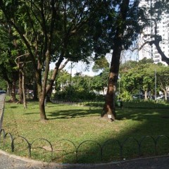 Passeio ciclístico infantil com food bikes na Praça de Casa Forte