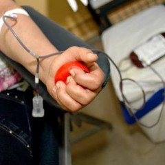 Hemope faz campanha de doação de sangue