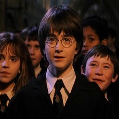 Fãs de Harry Potter fazem encontro neste domingo, na Livraria Jaqueira