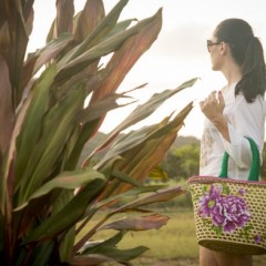 Recife ganha nova marca de bolsas artesanais