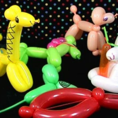 Balões encantados são atrações para a criançada em Casa Forte