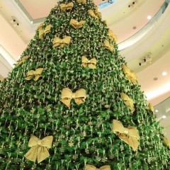 Associação Comercial lança o Natal Iluminado