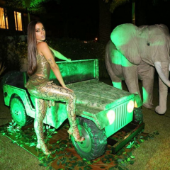 Anitta faz festa de aniversário “na selva” e reúne famosos