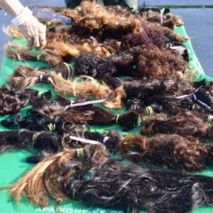 Segunda edição do Abril Pro Corte acontece no Parque Dona Lindu