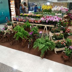 Feira de Flores aporta no Shopping Plaza para o Dia dos Namorados