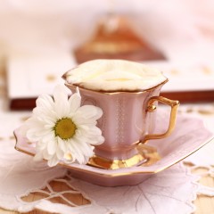 Garanhuns ganhará espaço com proposta “café & flor”