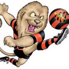 Sport corre um grande risco de voltar para a Série B