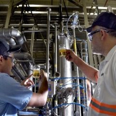 Cervejaria Ambev oferece curso gratuito em Pernambuco