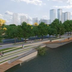 Prefeitura do Recife investe em ações para aumentar a arborização urbana