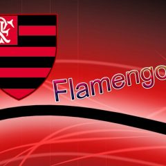 A SAF milionária do Flamengo