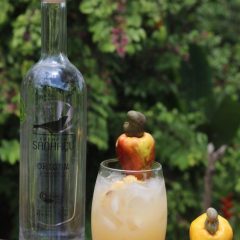 Sanhaçu é premiada com Ouro no 9º Concurso Expocachaça 2020