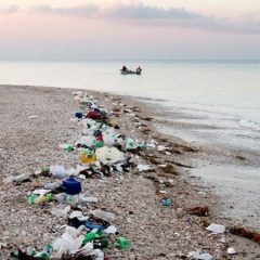 Alemanha proíbe plásticos descartáveis para proteger oceanos da poluição
