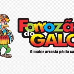 Forrozão do Galo ajuda artistas e catadores de latinhas