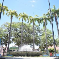 Prefeitura do Recife oferece passeios turísticos por atrativos da cidade