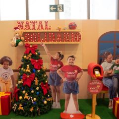 Natal Solidário arrecada doações para instituições pernambucanas