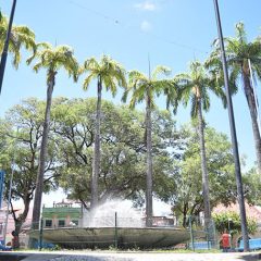 ‘Olha! Recife’ abre vagas para passeios guiados gratuitos a partir da sexta
