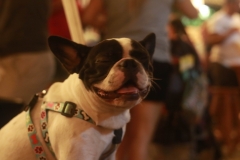 Hugo