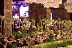 AQE Fl+ívia e Marcos - Instituto Ricardo Brennad - Recife PE-125