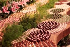 AQE Fl+ívia e Marcos - Instituto Ricardo Brennad - Recife PE-126