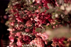 AQE Fl+ívia e Marcos - Instituto Ricardo Brennad - Recife PE-128