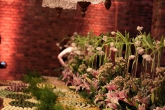 AQE Fl+ívia e Marcos - Instituto Ricardo Brennad - Recife PE-129