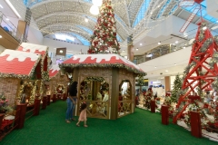 Com árvore de Natal contando com 10 metros de altura, as luzes e cores decoram o lugar forma encantadora - Foto: Rômulo Chico/DP Foto