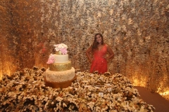 110317nc218 - Cópia (Copy)