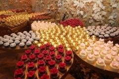 110317nc221 - Cópia (Copy)