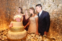 110317nc273 - Cópia (Copy)