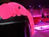 Inauguração da Pink Elephant