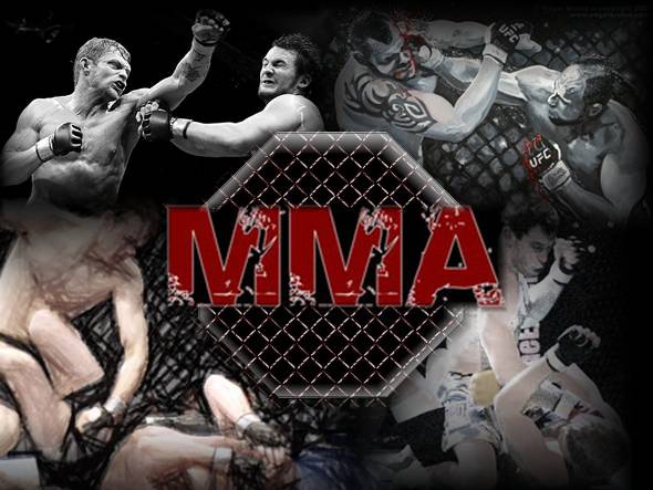 Foto: Site MMA/Reprodução