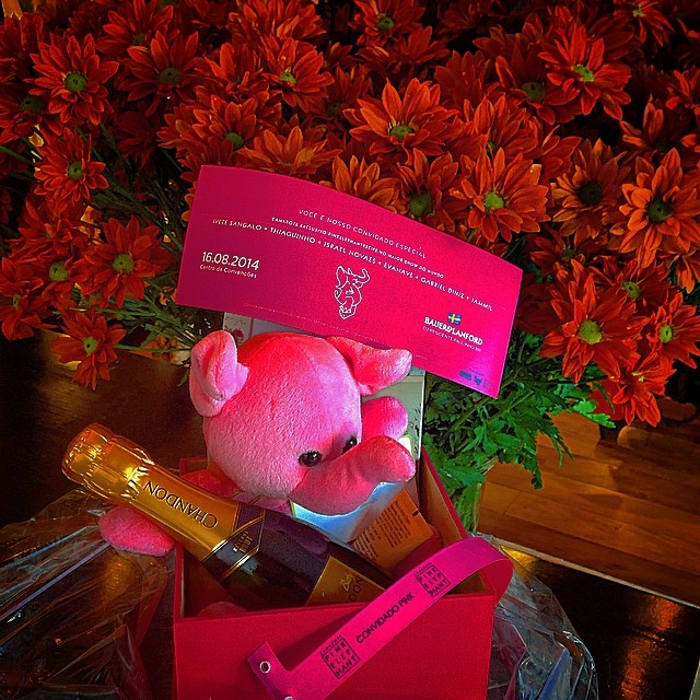 Kit enviado para nomes conhecidos da sociedade - Crédito: Heracliton Diniz/Divulgação