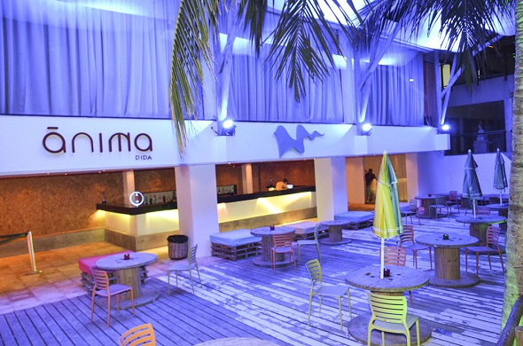 Crédito: Ânima Pipa/Divulgação