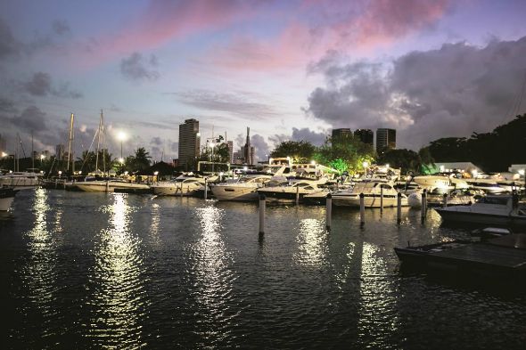 Créditos:Charles Johnson/ DIvulgação