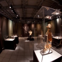 Exposição O Fantástico Corpo Humano inicia nesta quarta no Shopping RioMar