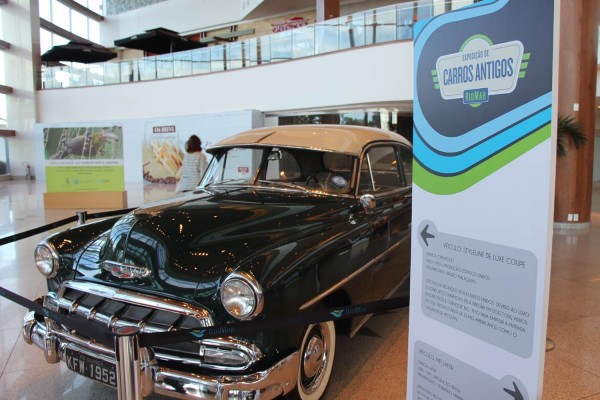 Exposição fica montada até o dia 4 de abril - Crédito: Divulgação